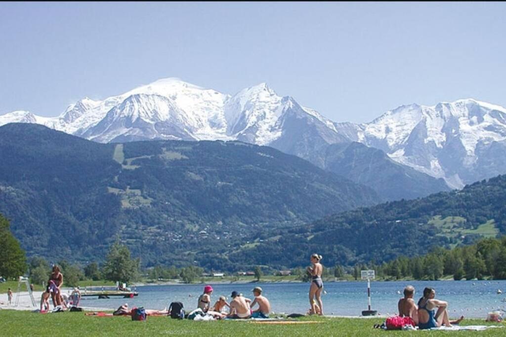 Super Appartement Cocooning Vu Mont Blanc Sallanches Exterior foto